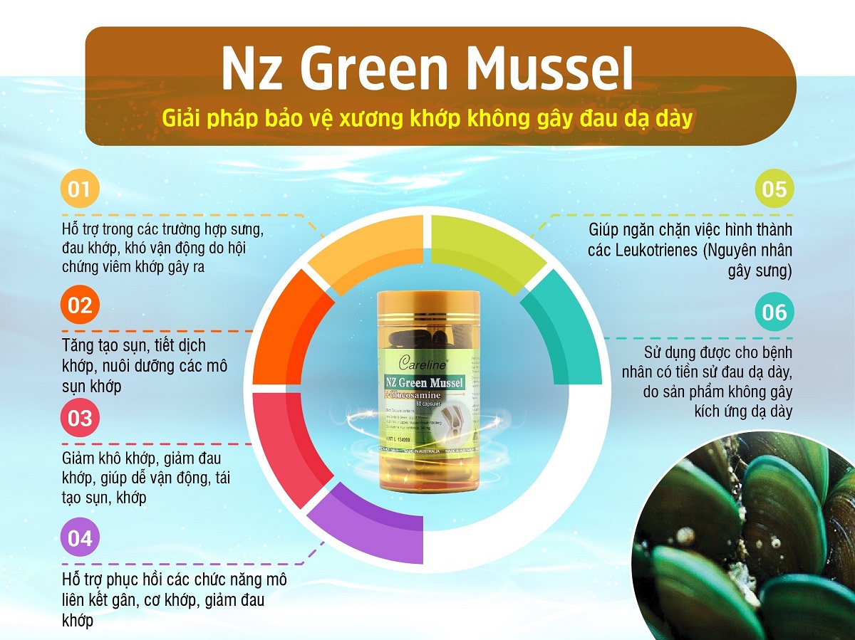 Khớp vẹm xanh - Nz Green Mussel sản phẩm bảo vệ xương khớp không gây đau dạ dày