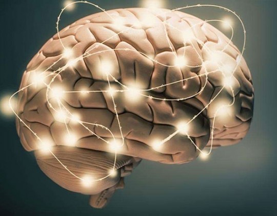 Top 12 thực phẩm “siêu bổ” cho não bộ, giúp tăng cường trí nhớ và khả năng tập trung