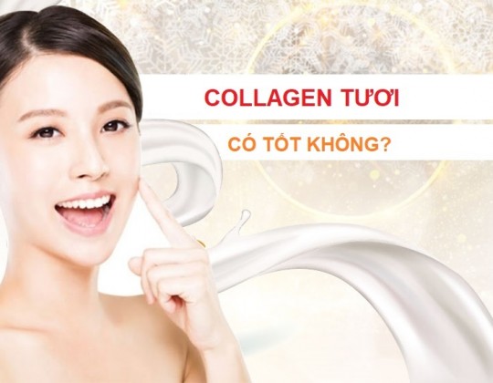 Collagen tươi có tốt không? Điều chị em cần phải biết