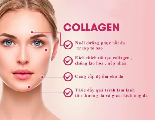 Hiểu hết về tác dụng của collagen đối với làn da phái đẹp