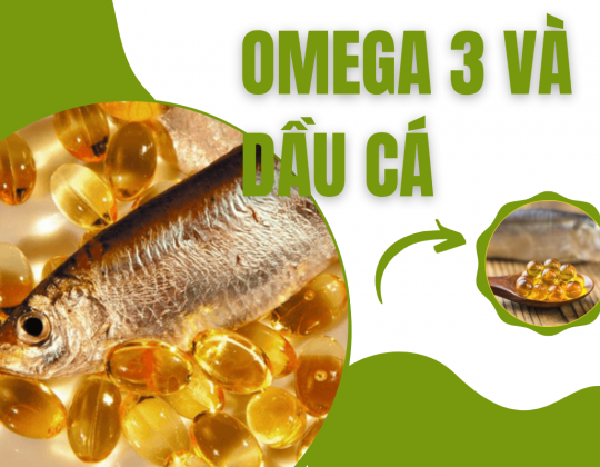 Tất tần tật các kiến thức về omega 3 và dầu cá