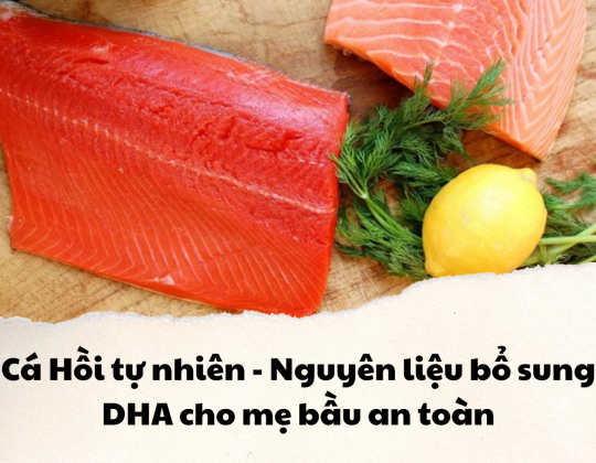 Cá Hồi tự nhiên - Nguồn nguyên liệu bổ sung DHA cho mẹ bầu an toàn và hiệu quả hàng đầu hiện nay