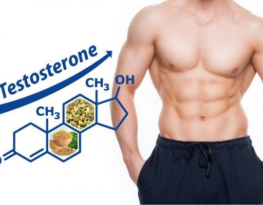 Testosterone là gì? Testosterone có tác dụng gì?