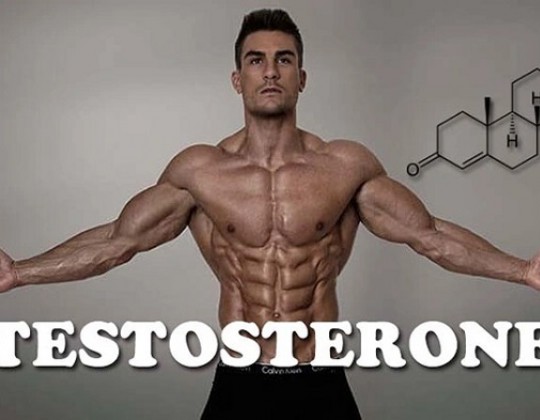 15 cách tăng testosterone nam đơn giản và hiệu quả nhất tại nhà