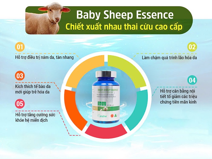 Baby Sheep Essence - Nhau thai cừu 100 viên