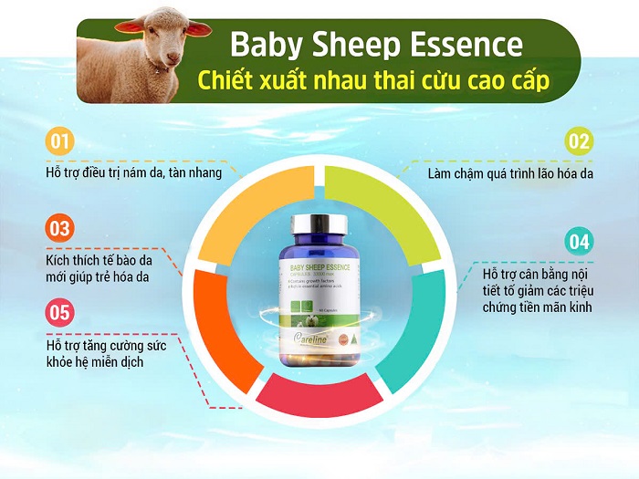 Baby Sheep Essence - Nhau thai cừu 60 viên