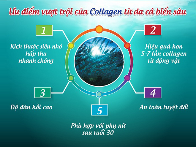Ưu điểm của Collagen từ da cá biển sâu