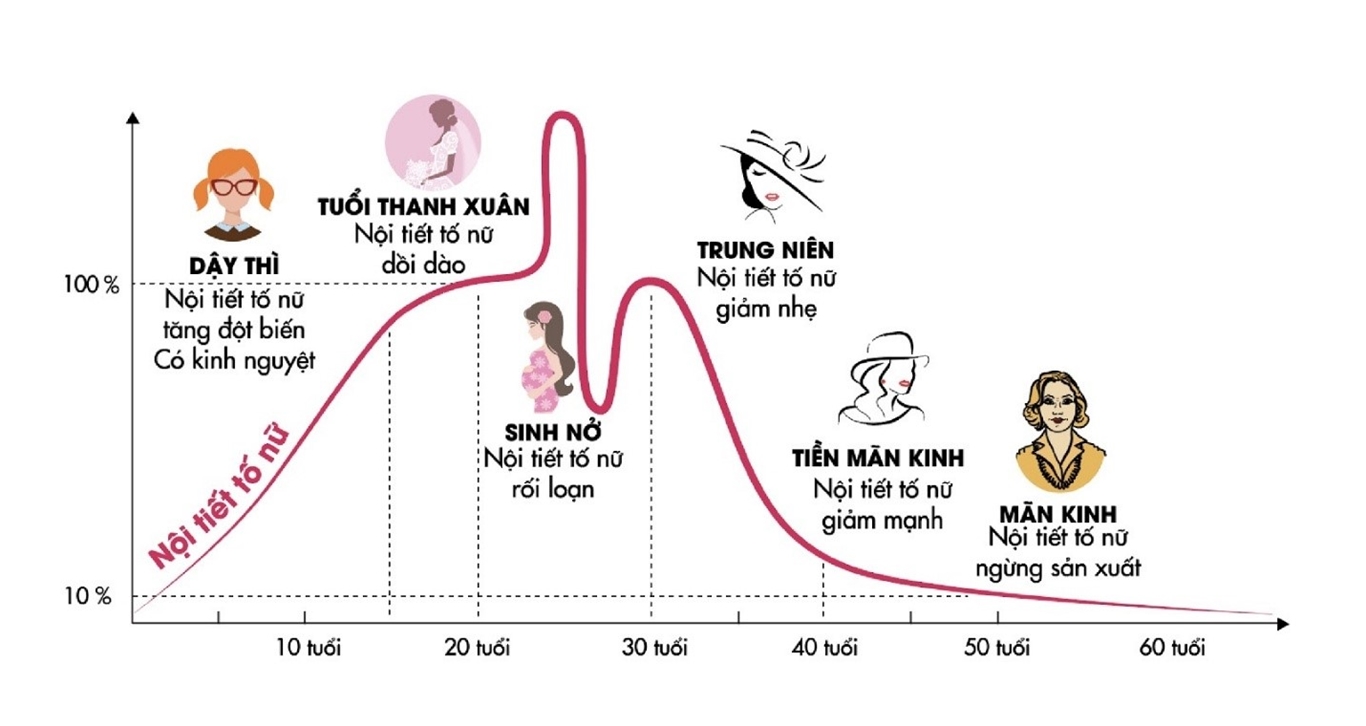 Bổ sung estrogen cho nữ giới là gì