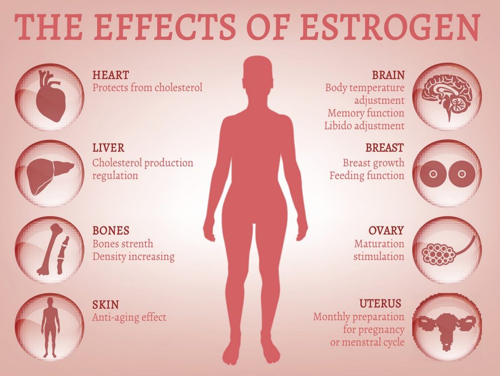 Những yếu tố gây suy giảm estrogen cách bổ sung hooc môn nữ