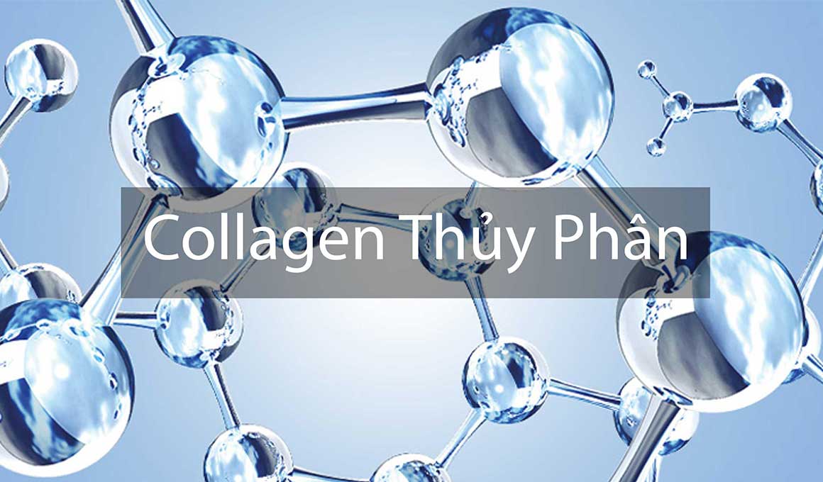 collagen thủy phân loại nào tốt nhất