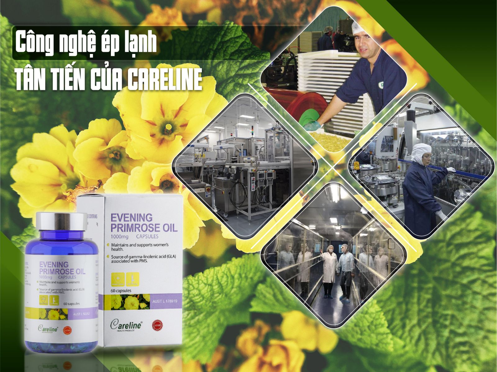 Careline Evening Primrose Oil 1000mg là sản phẩm tinh dầu hoa anh thảo sử dụng phương pháp ép lạnh tân tiến