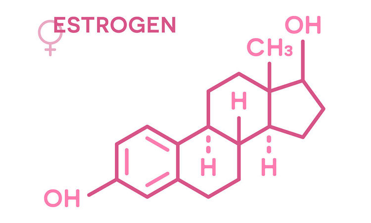 Nội tiết tố nữ Estrogen