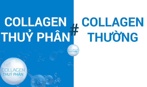 Sự khác biệt giữa collagen thủy phân và collagen thường