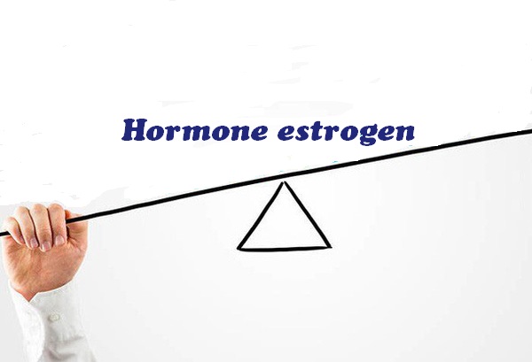 Hormone Estrogen bị mất cân bằng