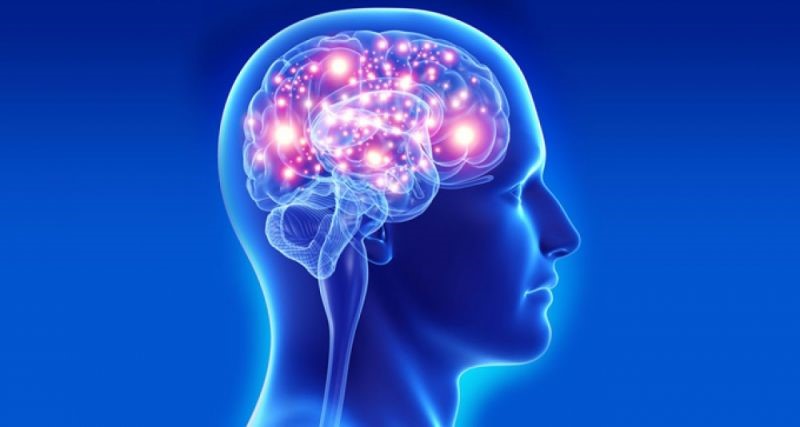 Sản phẩm bổ não giúp tăng tuần hoàn máu lên não để phòng ngừa các bệnh liên quan đến não