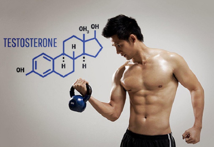 Testosterone sinh ra ở đâu