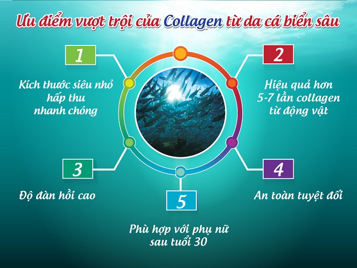Thứ nhất: Là collagen cá biển giúp hấp thu nhanh, hiệu quả cao và an toàn