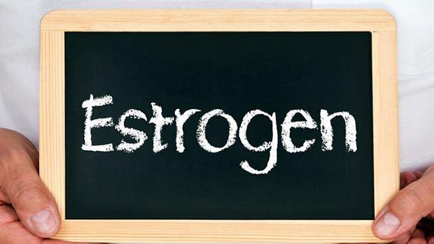 Estrogen và thức ăn giàu estrogen